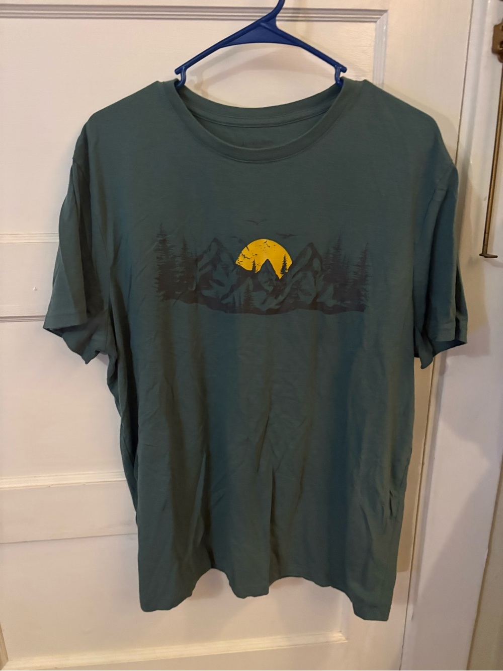 Goodfellow & Co Green Graphic Tee with Yellow Sun